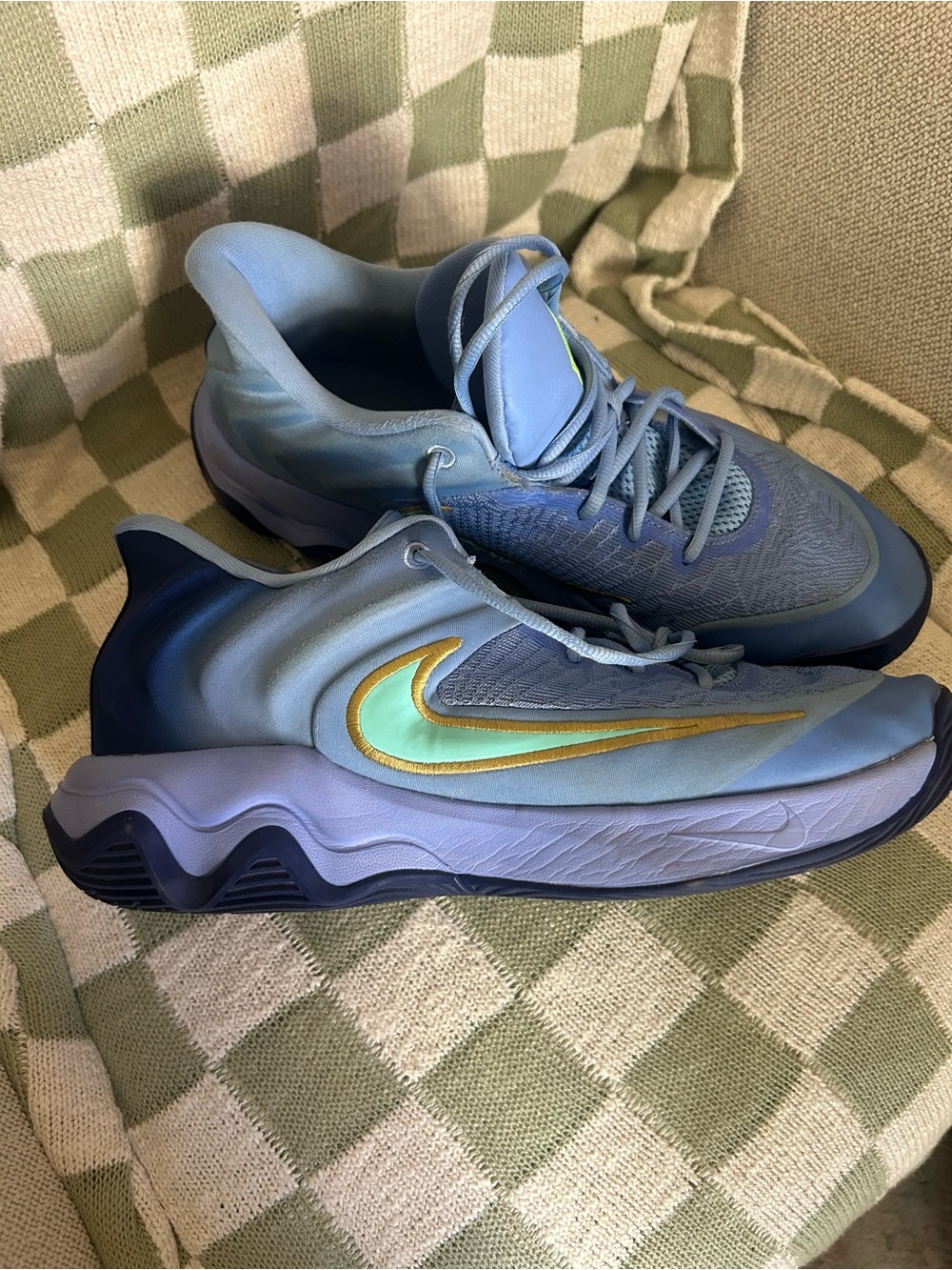Nike Men’s Giannis Immortality 4 Size 12